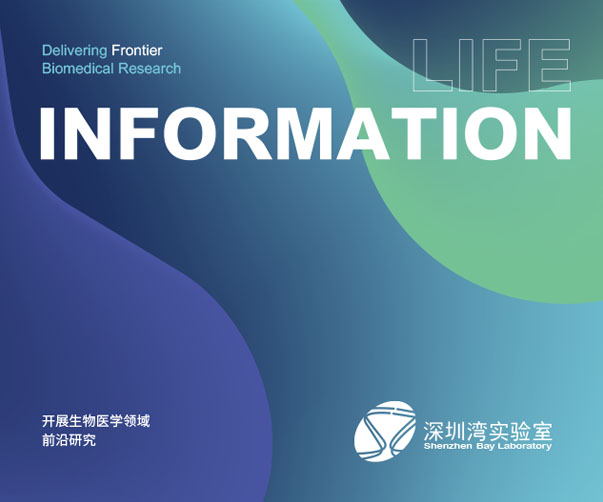 上海logo設(shè)計(jì)公司論酒店傳統(tǒng)與現(xiàn)代設(shè)計(jì)的完美融合